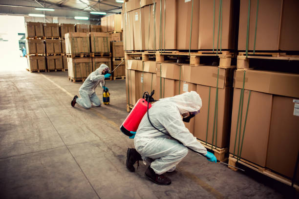 Best Cockroach Control Services  in Princeton, WI