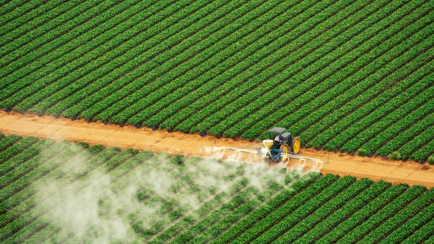 Best Pest Removal Services  in Princeton, WI