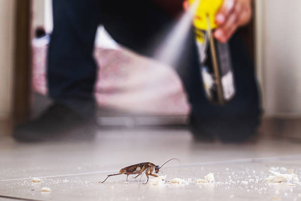 Best Best Pest Control Companies  in Princeton, WI
