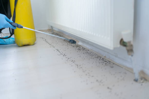 Best Pest Prevention Services  in Princeton, WI