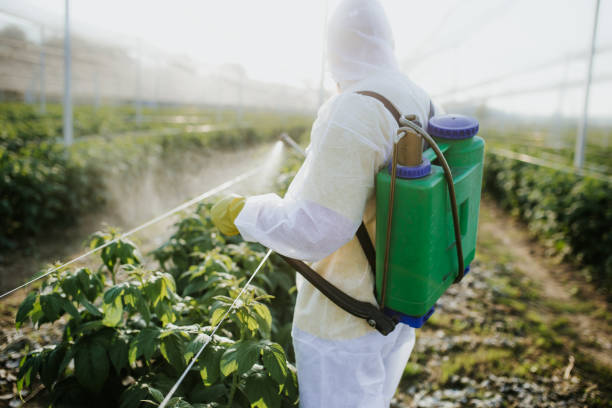 Best Commercial Pest Control Services  in Princeton, WI
